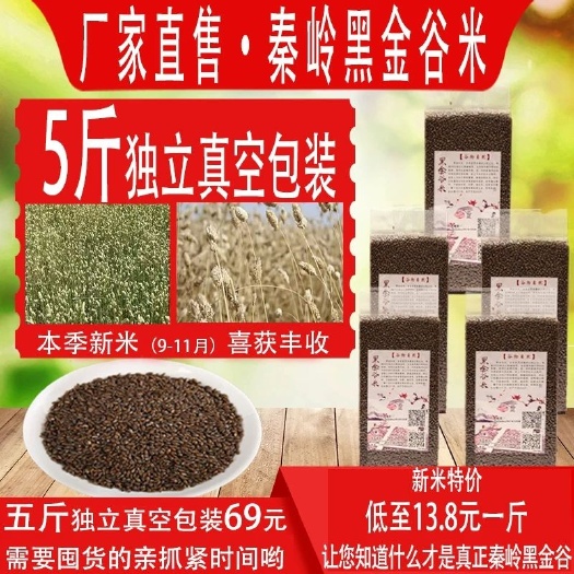 寿阳县 黑金谷米5斤血燕麦秦岭陕西正宗黑金谷五谷杂粮粥素食粥