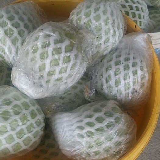 漳浦县番石榴  粉红色芭乐又可以摘了！之前是繁花，现在是当季！