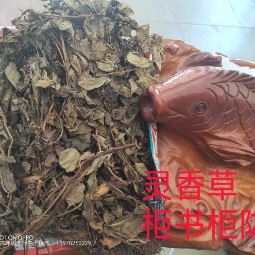 金秀县妙香草莓 广西金秀大瑶天然灵香草可放衣柜书柜防虫柱虫