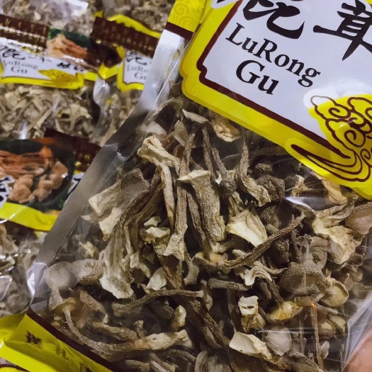 莆田 鹿茸菇