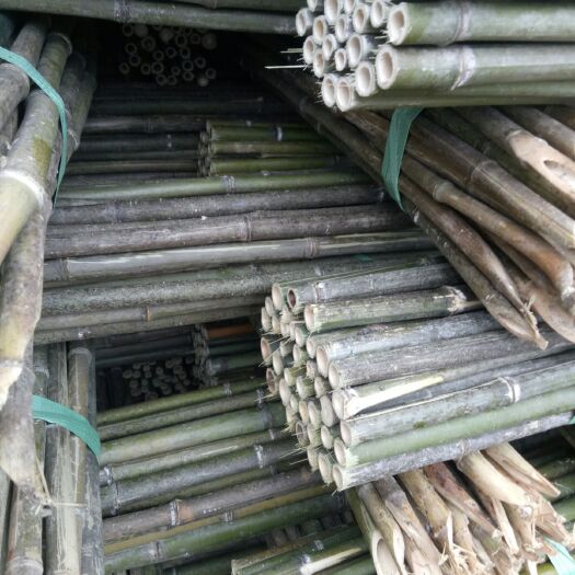 十堰菜架竹 竹竿节短，壁厚，耐用。，大棚竹，支树杆，山药架等。