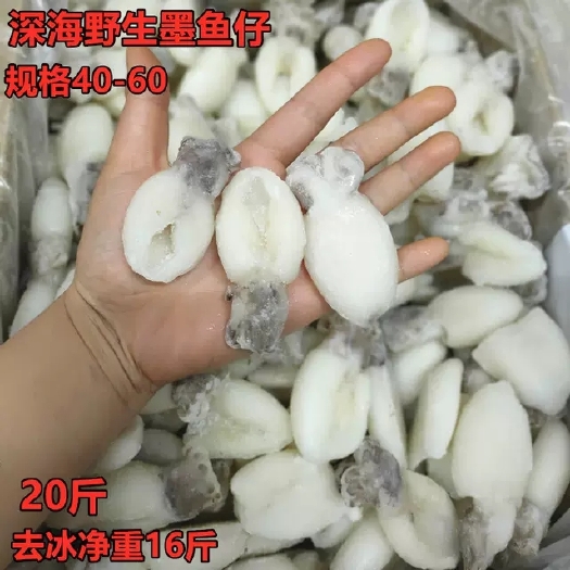 南京新鲜冷冻墨鱼仔20斤/箱三去小目鱼仔小乌贼火锅海鲜食材