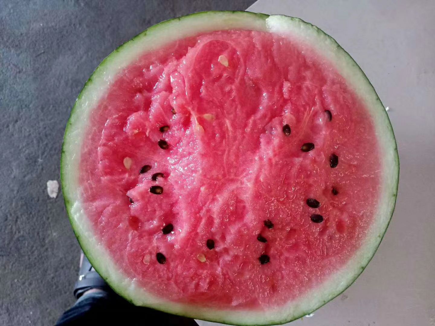 精品美都西瓜8斤以上打底,8层熟出货量大,质量保证