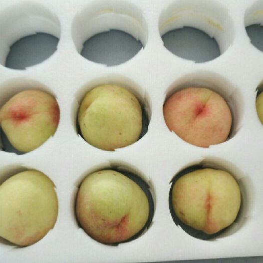 新化县 珍珠棉各种桃托