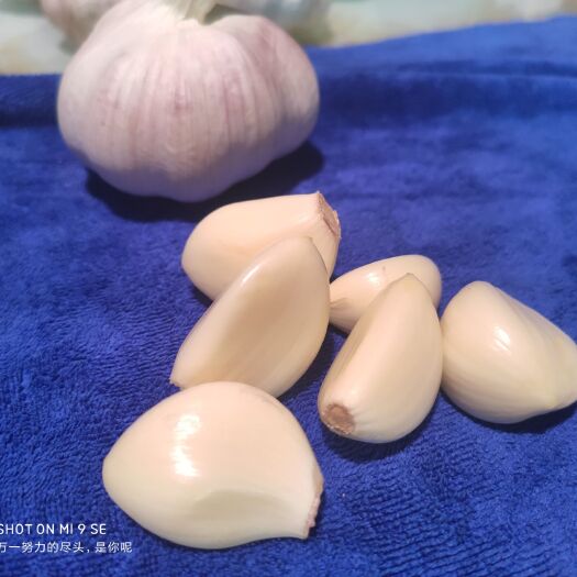 嘉祥县 手工蒜米，