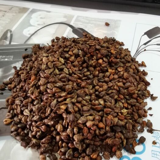巨鹿县 葡萄籽，蛋白12脂肪16