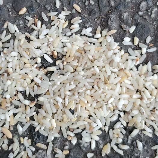 绵竹市稻花香大米 19年色选米现货