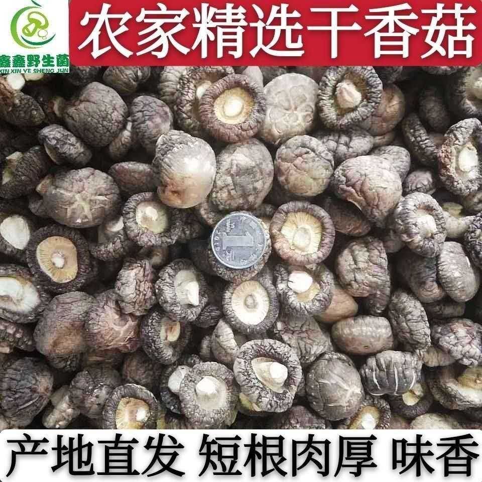 香菇9608  香菇干貨特級干香菇新貨蘑菇冬菇無根土特產山貨散裝