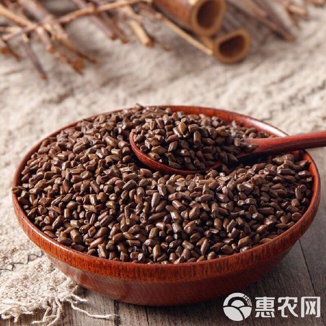 决明子茶炒熟决明子决明子决明子泡茶决明子茶炒熟决明子