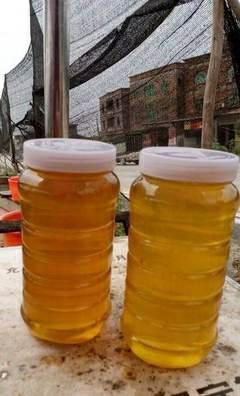 安福县土蜂蜜 自家山上放养，纯正无白糖成份，一年割一次，一群年产4－6斤！