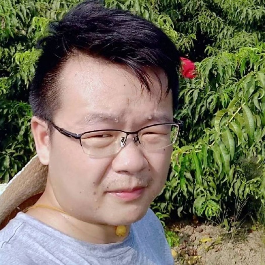 江陵县 中国黄桃小镇湖北潜江荆州锦绣黄桃