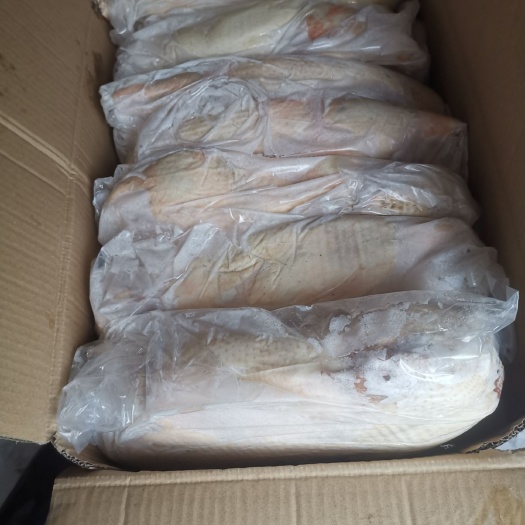 临朐县朗德鹅肉 鹅体