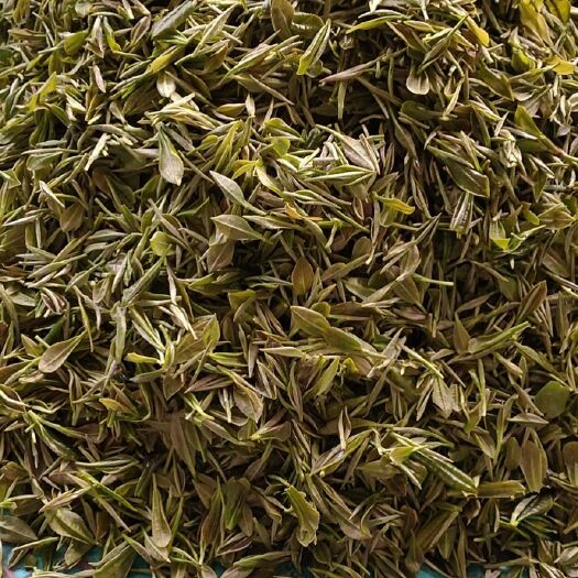 开化县 高山针型绿茶，单芽  一芽一叶  一芽二叶