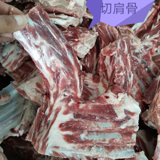献县 羔羊方肩骨，新鲜肉多，方切肩的