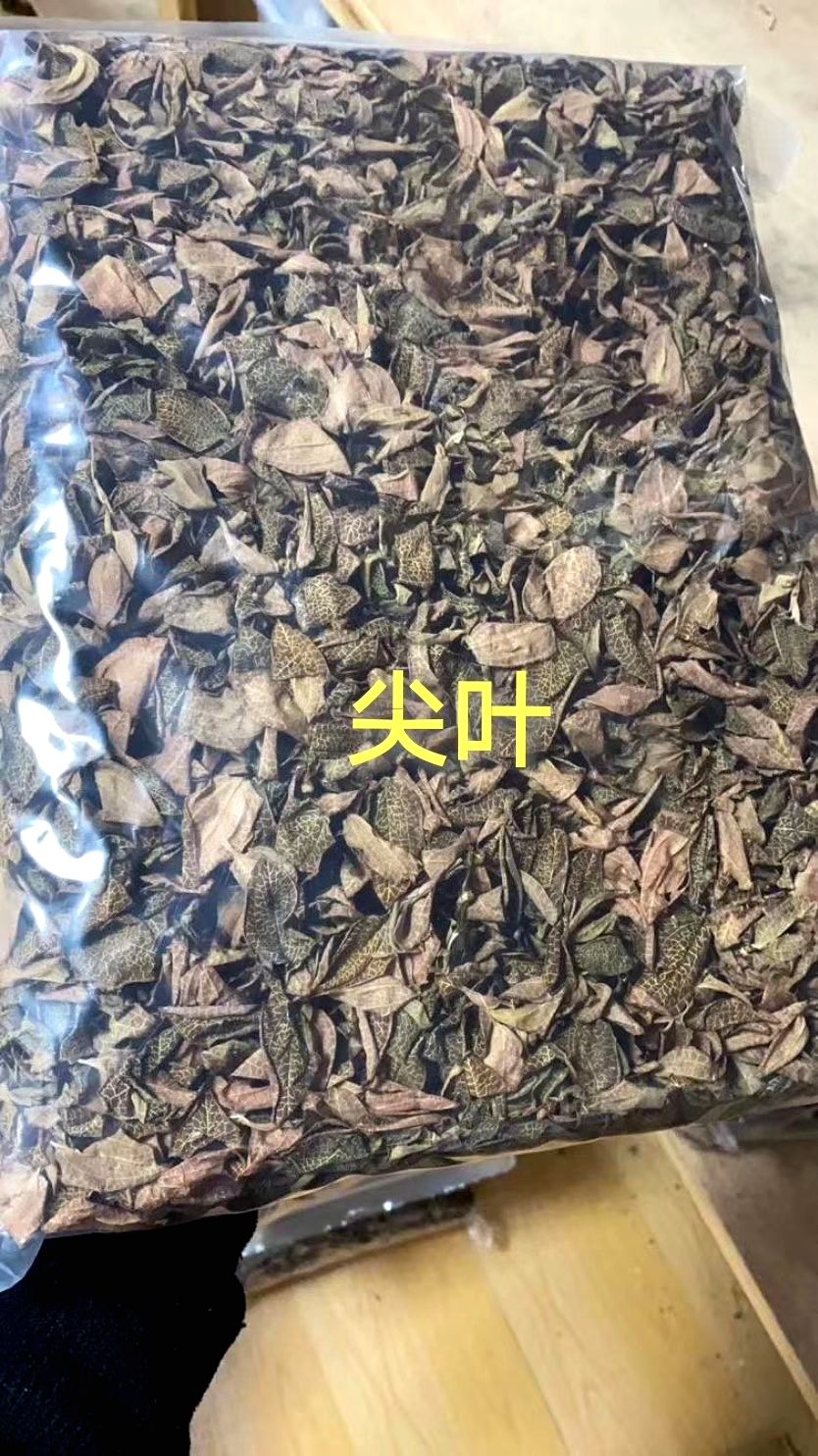 金线莲干品
