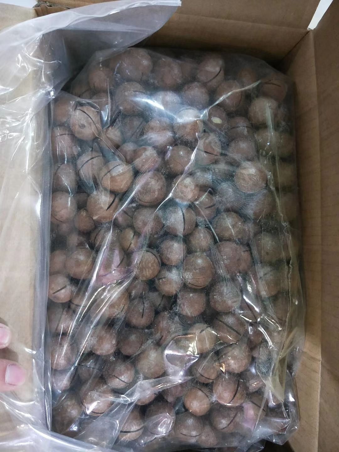奶香夏威夷果，厂价直销，一件起发