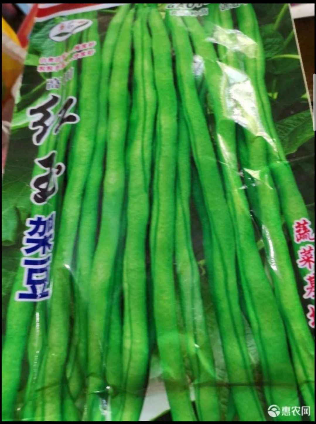  四季豆种子高田（超越）架豆王基地专用！无限生长型！