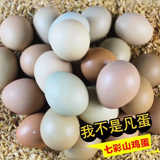 虫子鸡蛋  农家散养山鸡蛋