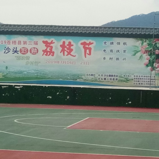 苍梧县 迟熟荔枝