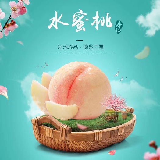 宁波 自家桃园产地直销奉化水蜜桃