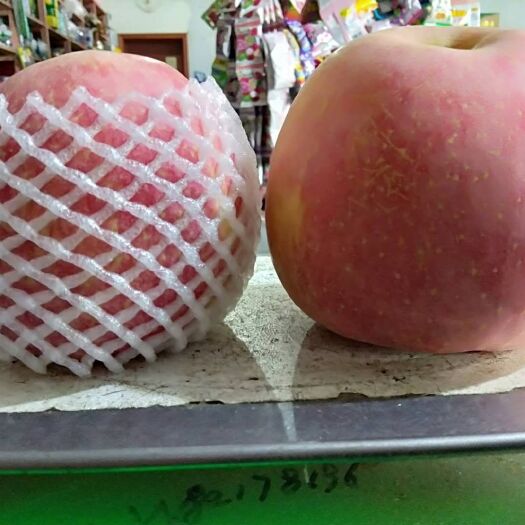 青岛冰糖心苹果 明月，红富士，冰糖心，元金帅