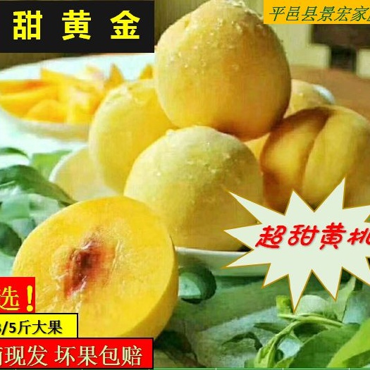 平邑县 沂蒙山甜黄金黄桃蜜桃爆汁果园直发