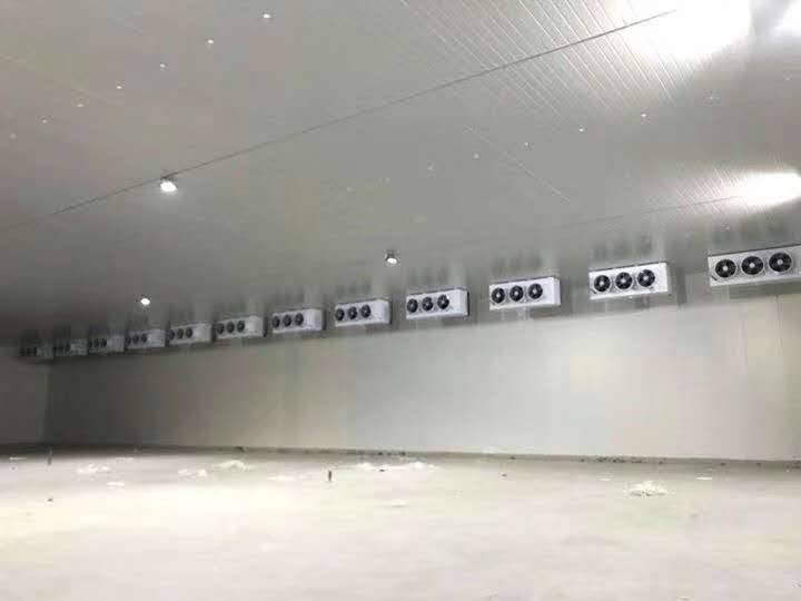 冷藏设备   冷库，大型蔬菜库，冷冻库，保鲜库速冻库双温库，承接大小冷库