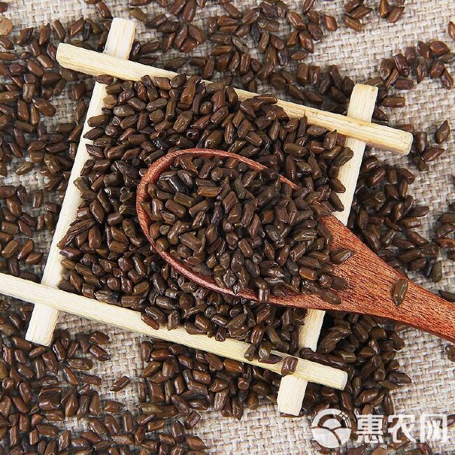 决明子茶炒熟决明子决明子决明子泡茶决明子茶炒熟决明子