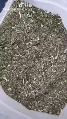 巨鹿县 甜叶菊渣