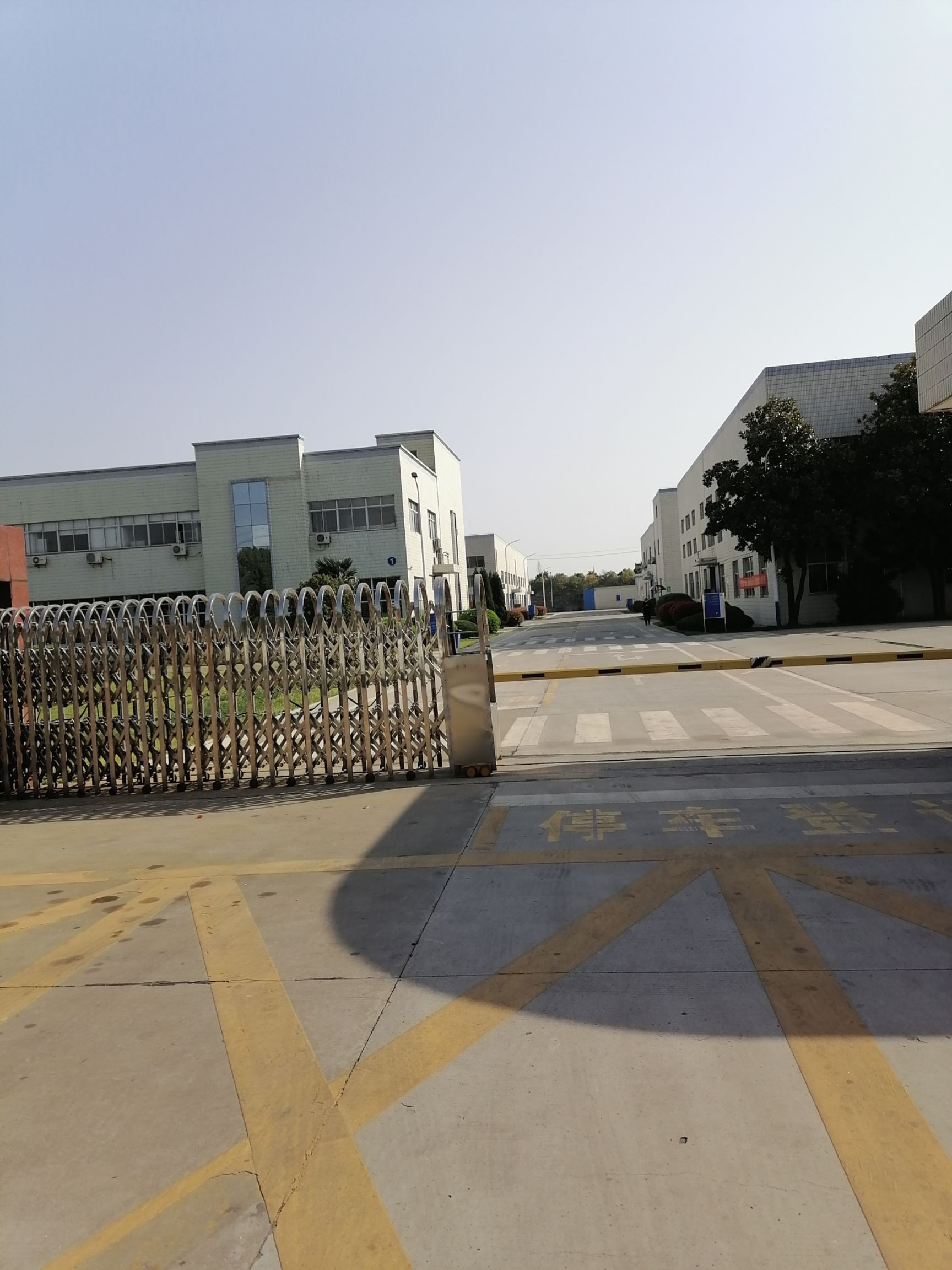 冷藏设备   冷库，大型蔬菜库，冷冻库，保鲜库速冻库双温库，承接大小冷库
