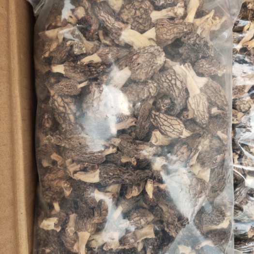 纯野羊肚菌满500g包邮