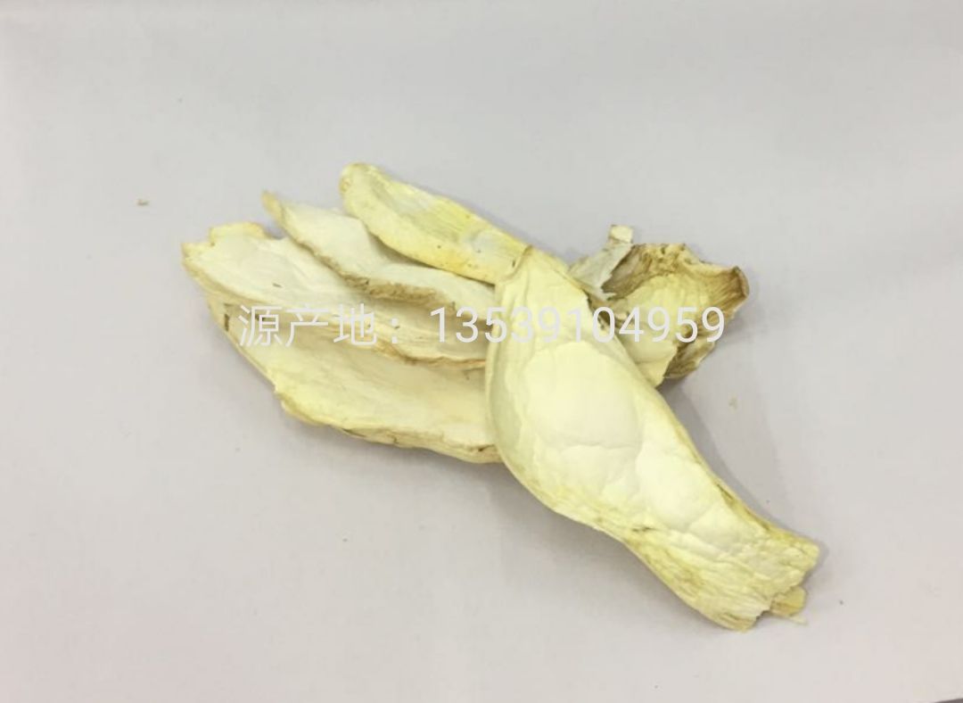  杏鲍菇 精选大片 产地供应 一手货源