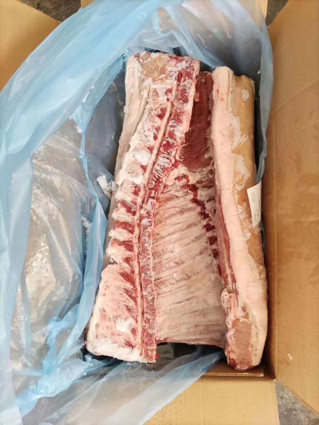 六分体 芬兰22厂中段