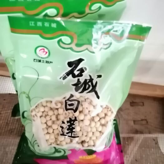 石城县 石城白莲