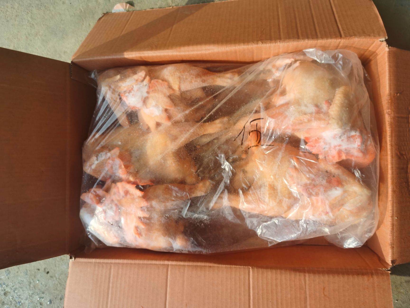 鸡肉  土鸡   散养笨公鸡