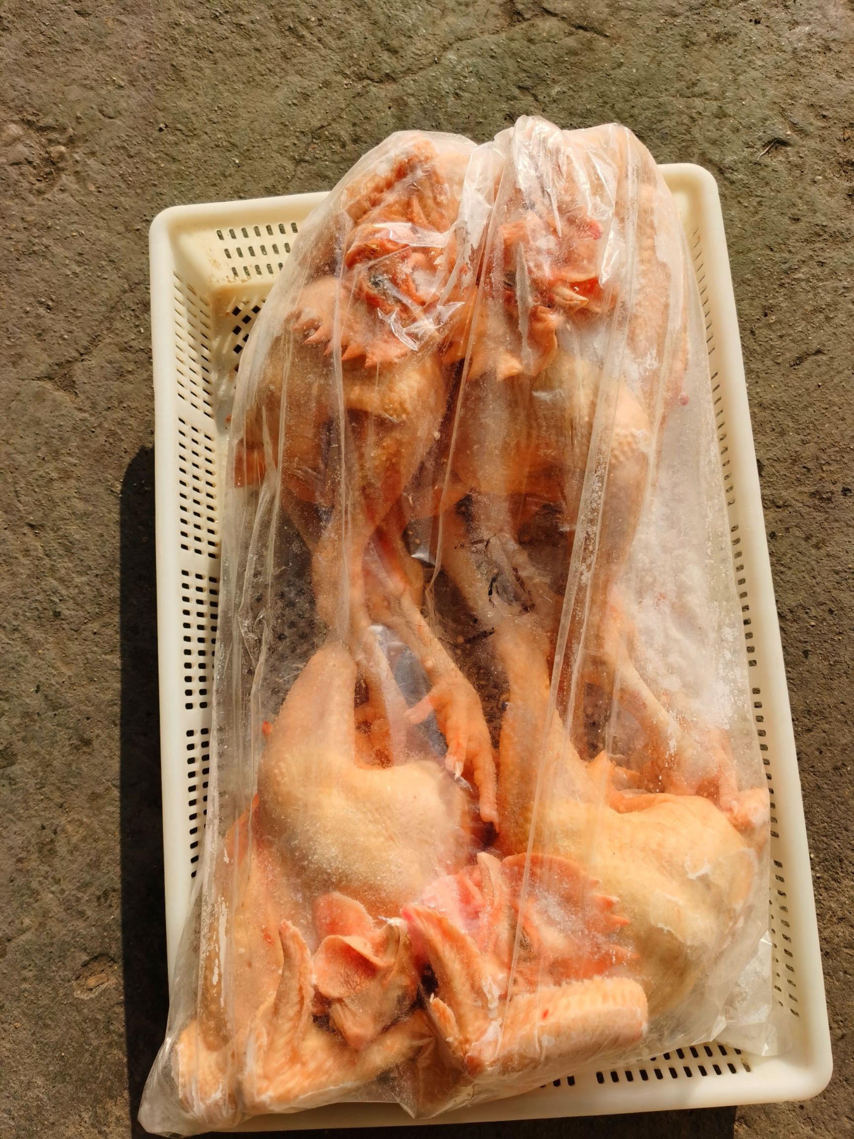 鸡肉  土鸡   散养笨公鸡