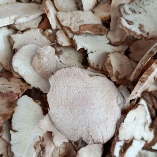 玉林 土茯苓