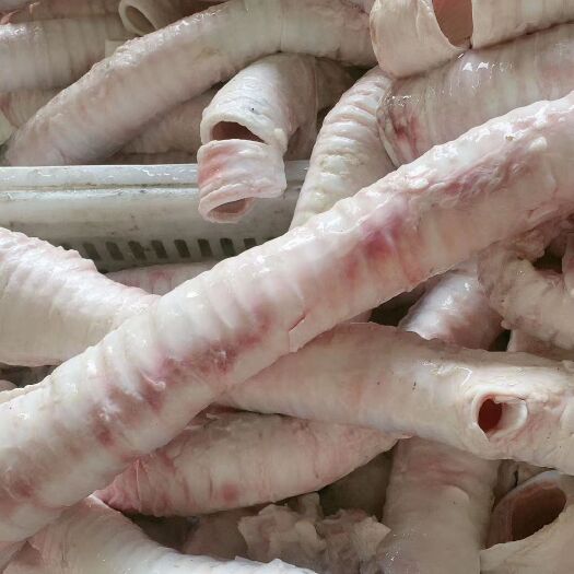 阳信县 牛肺管
