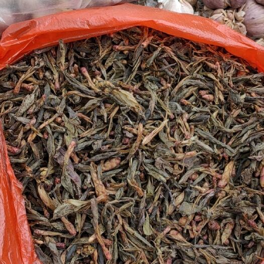 弥渡县本山茶 大山茶