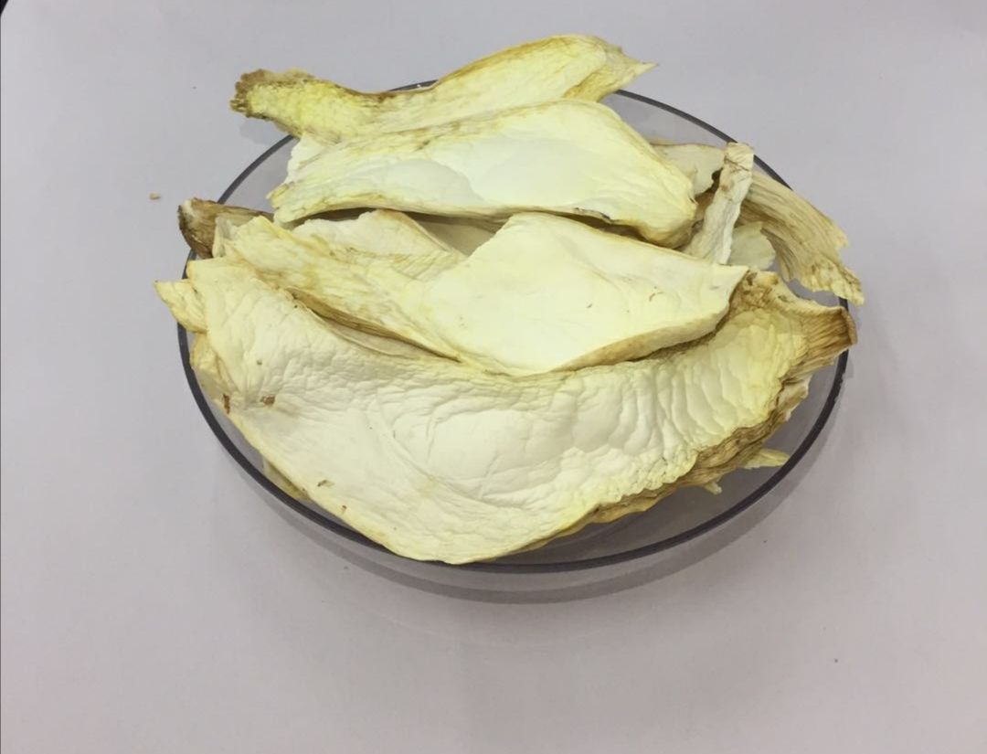  杏鲍菇 精选大片 产地供应 一手货源