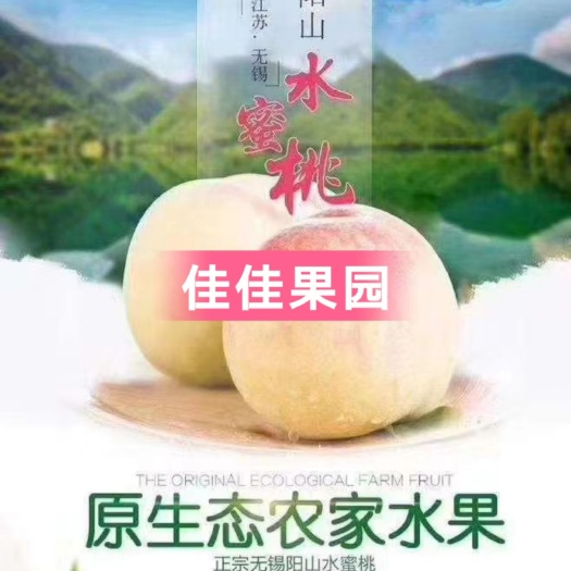 无锡 正宗无锡阳山水蜜桃新鲜水果超甜爆汁可撕皮