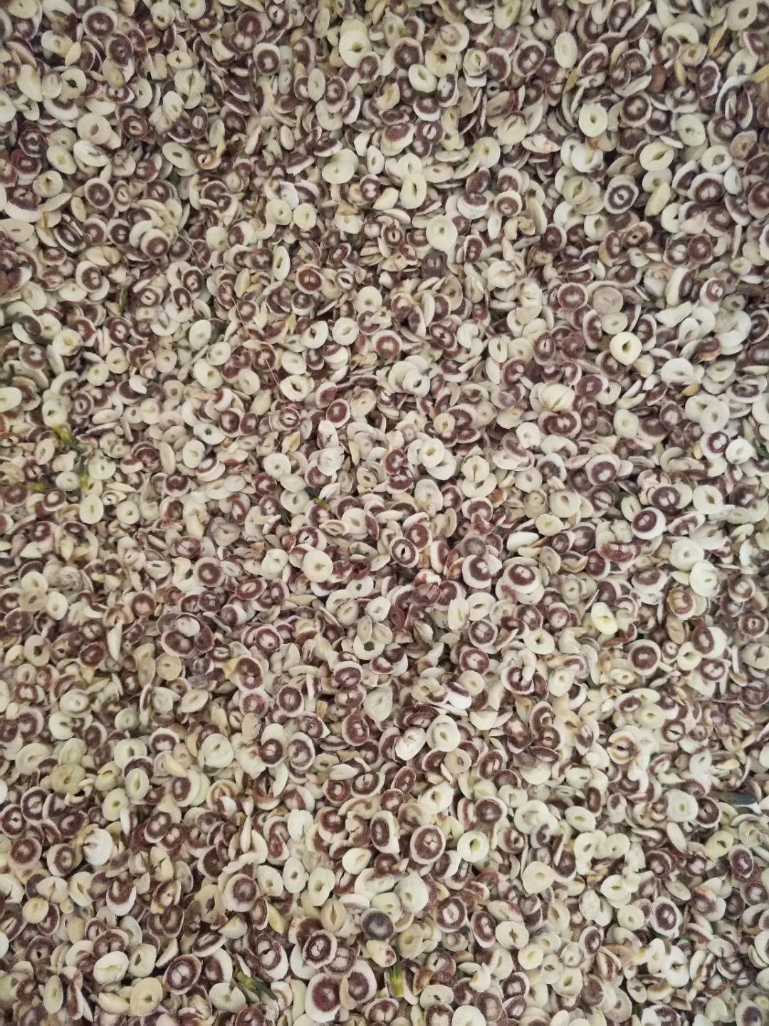  碎莲子 湘莲 莲子粉 酿酒莲子 烧酒碎莲子