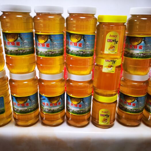 清远 野山花蜜蜂蜜天然纯农家自产500g百花蜜原蜜峰pk洋槐蜜