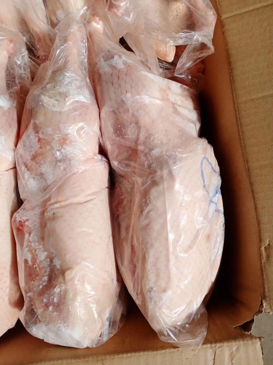 长期供应白条鸭  内堂干净！