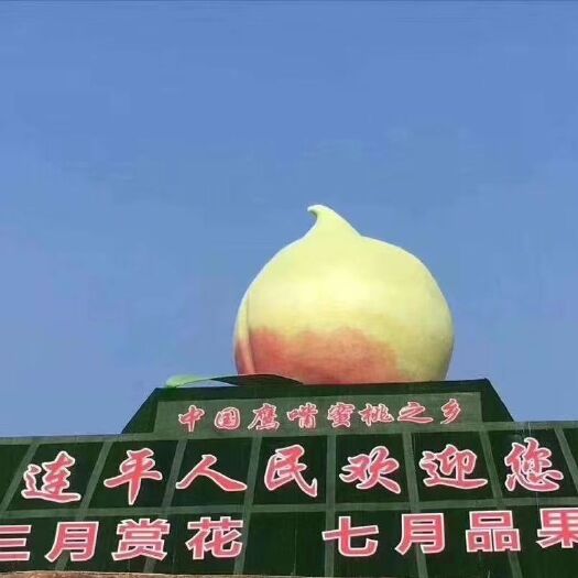 连平县蜜桃 水蜜桃 正宗连平鹰嘴蜜桃