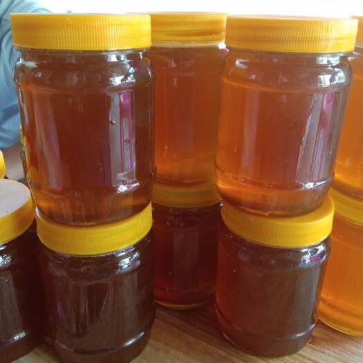 大埔县 勤劳的小蜜蜂酿好蜜[强][强]
一年只收割一次，百花蜜