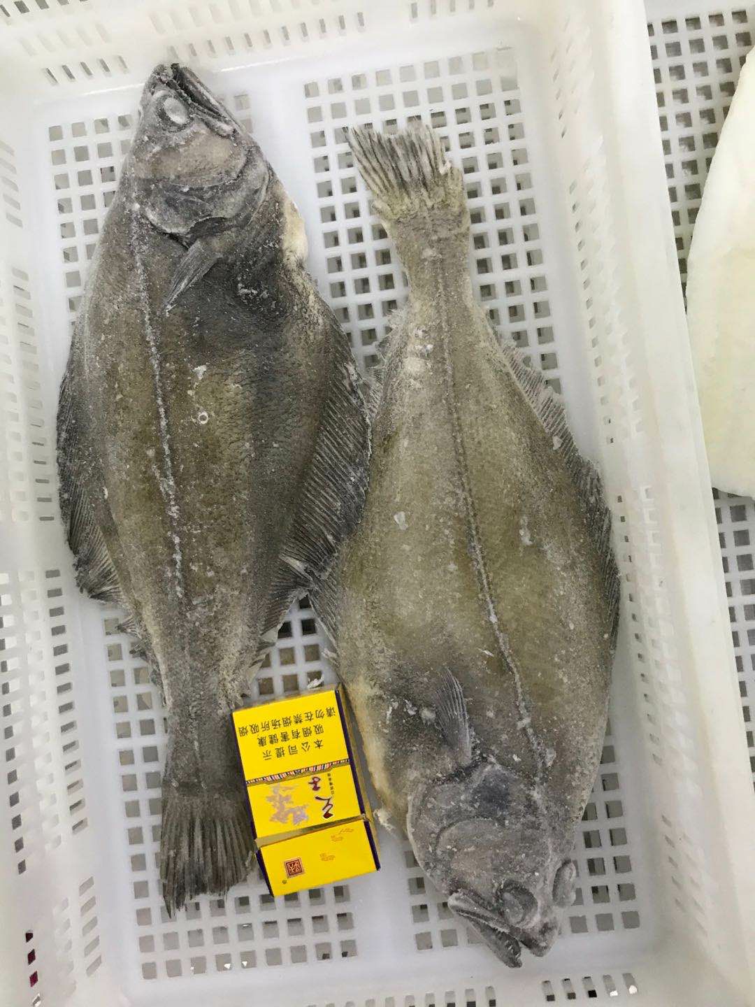  深海鲽鱼整条比目鱼牙片鱼，厂家一手