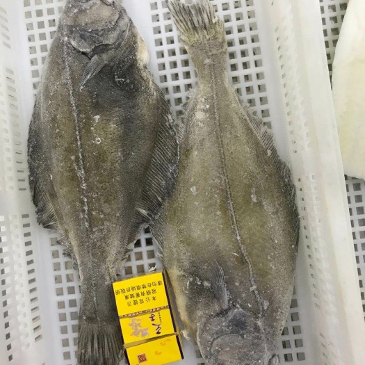 庄河市 深海鲽鱼整条比目鱼牙片鱼，厂家一手