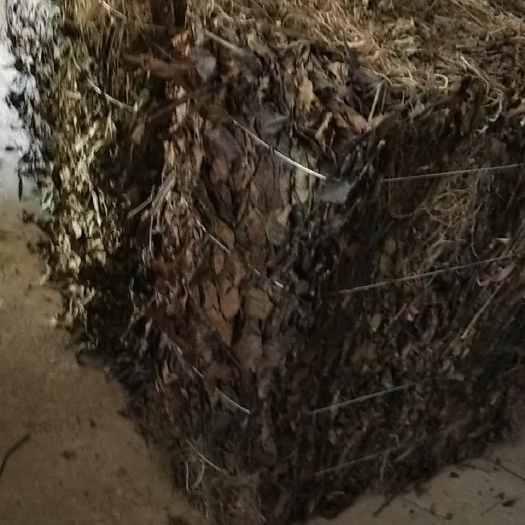 务川县 草珊瑚干货