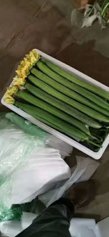 邯郸本地丝瓜，质量好量大，四季各种蔬菜水果都有，自备冷库，